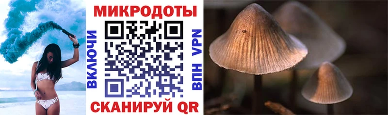 Псилоцибиновые грибы MAGIC MUSHROOMS Нюрба