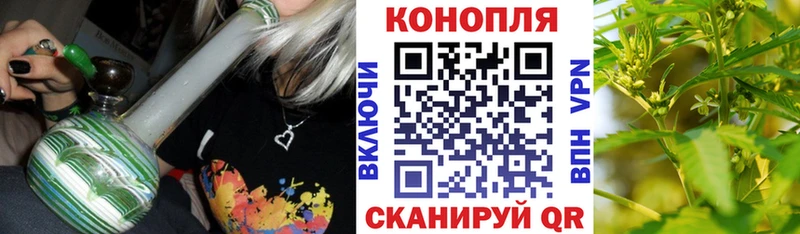 Бошки марихуана MAZAR  наркотики  Нюрба 